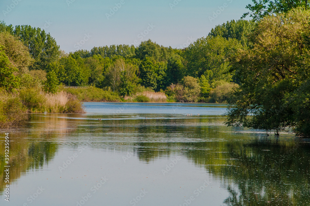 Die Koldinger Seen, die Südliche Leineaue