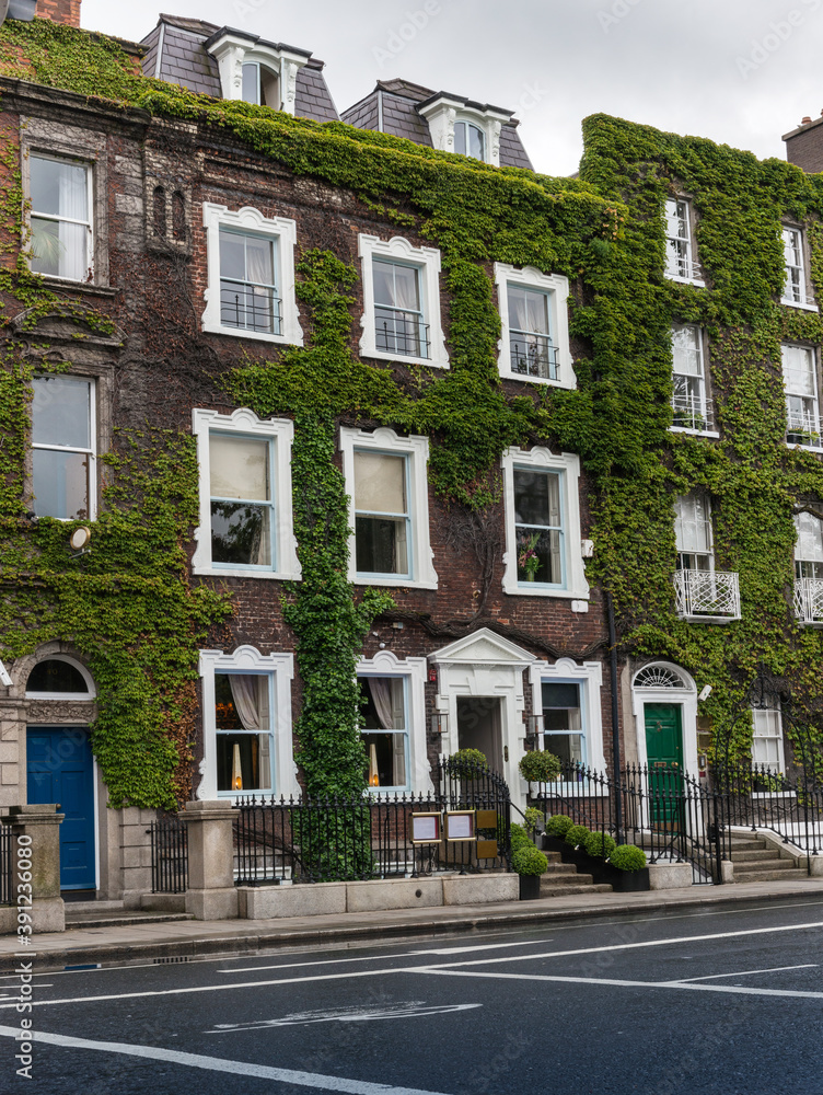Naklejka premium Ivy covered facade in Dublin