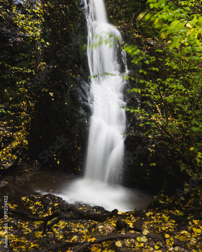 Woodland waterfall in Autumn at Tarn Hows  Lake District  Cumbria