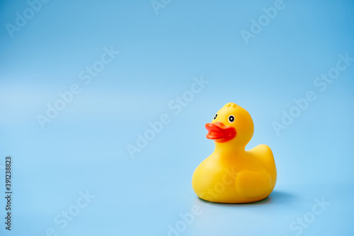 Isolated yellow rubber duck with a copy space on a blue background