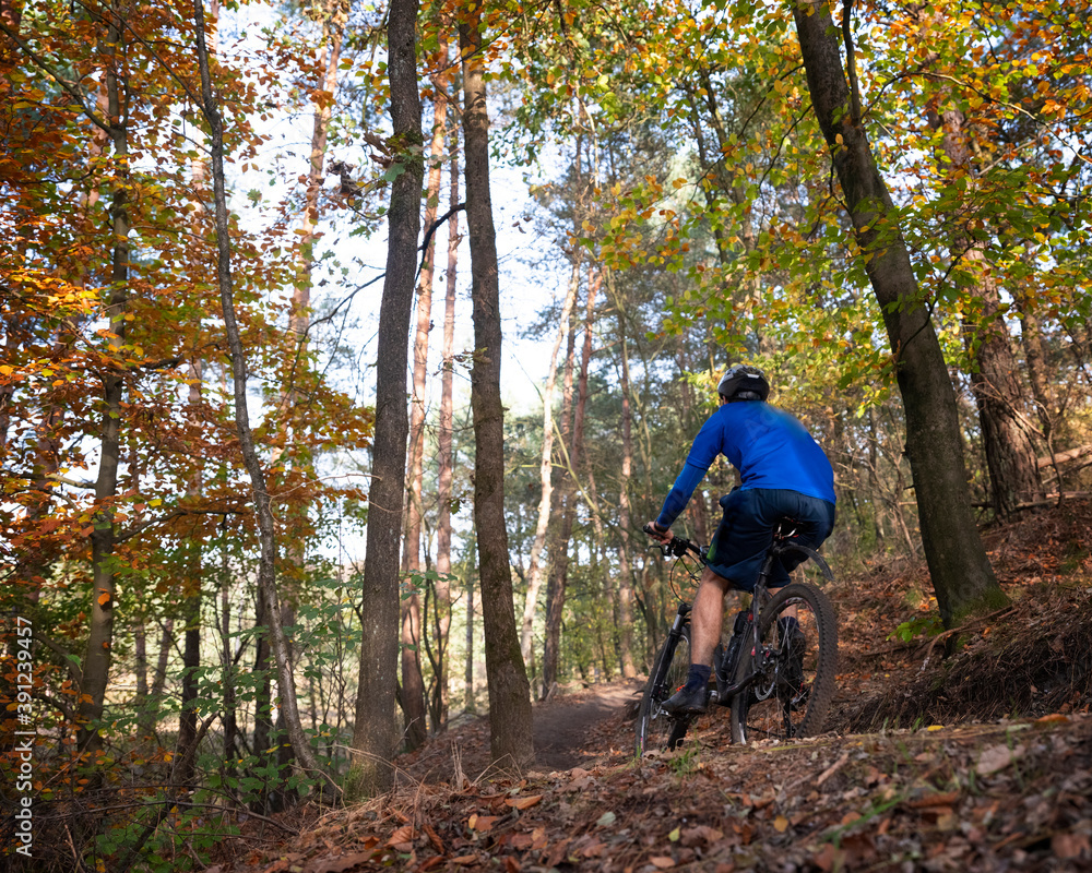 Obraz premium man on mountainbike on trail in autumn forest near zeist in the netherlands