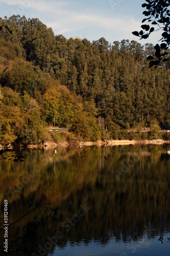 Fototapeta Naklejka Na Ścianę i Meble -  Lake in a forest of Basque Country