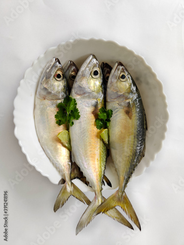 Close Up View Of Indian Mackerel Fish Decorated With Herbs Holding With Hand.