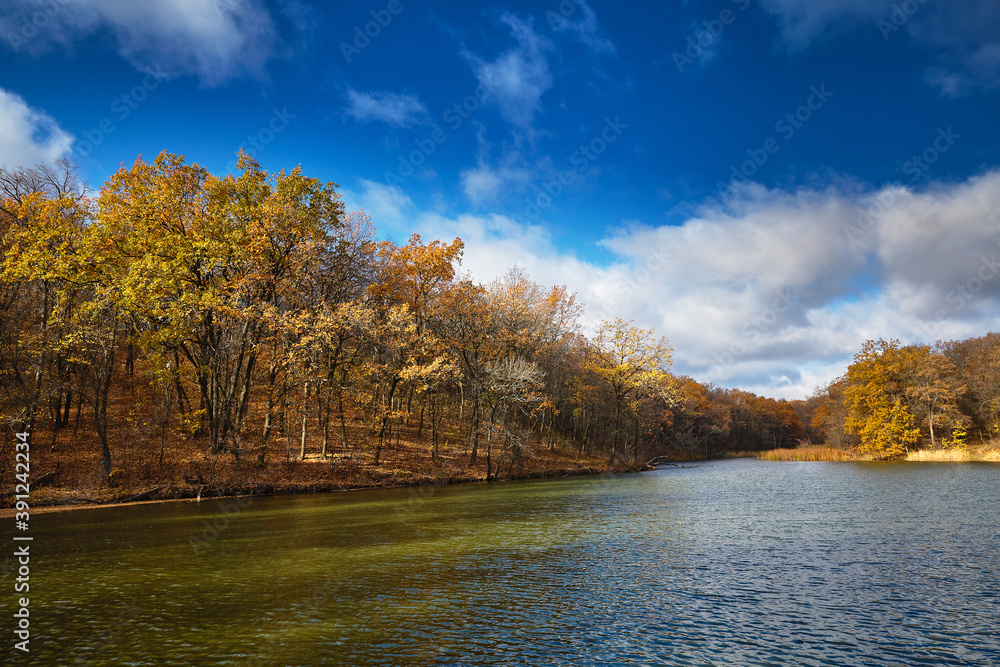 Autumn deciduous forest, lake, pond. Yellow oaks. Clouds in the sky Autumn deciduous forest, lake, pond. Yellow oaks. Clouds in the sky