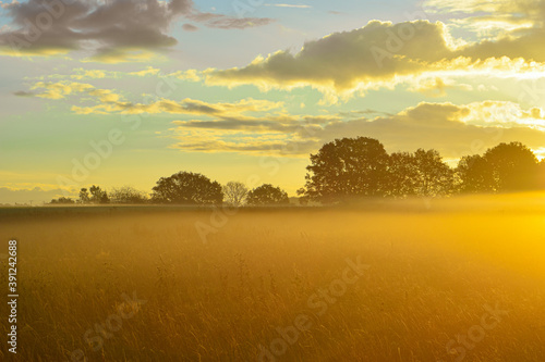 sunrise over the lake, field of wheat and sunset, sunset in the field, sunset over the field