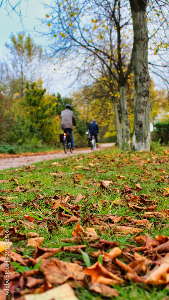 Radfahrer im Park, Hintergrund Radfahrer im Park, Hintergrund