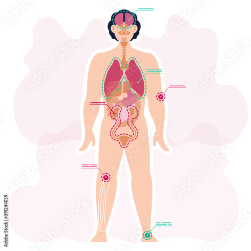 Parts of the human body, anatomical arrangement of organs in the organism. Scheme for studying the structure of a person, his physiological processes. Diagram of human anatomy vector illustration