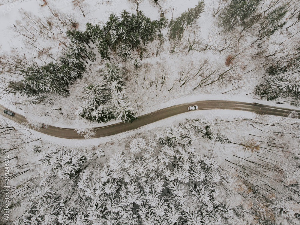 Aerial view at the pine trees and road. Winter landscape from drone. Winter forest background