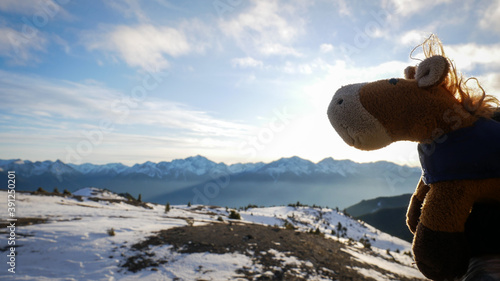 Horse plush toy taking a selfie on top of the mountains in winter.