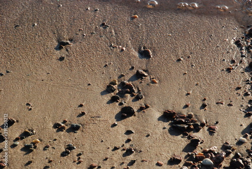 Wet sand and small stones. In the rays of the setting sun, wet coastal sand in which there are small pebbles. Pebbles of different shapes and colors. The sand has various shades. Pebbles cast a shadow