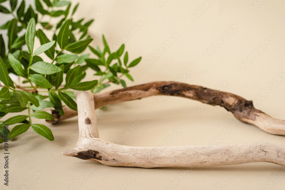 Fototapeta premium Natural background for cosmetic products created from wood and green leaves.