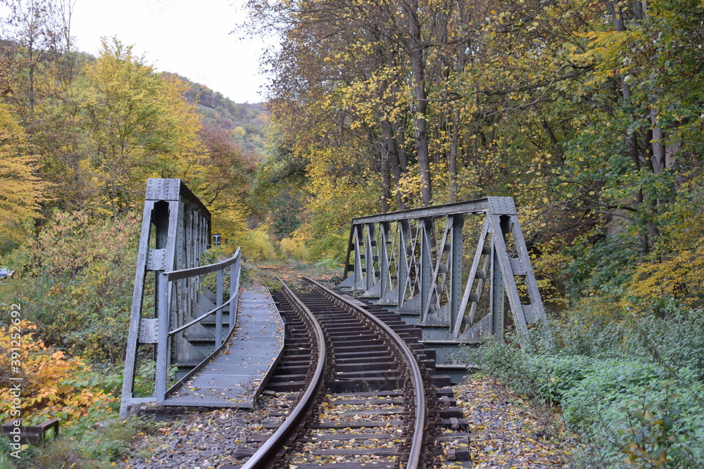 Strecke der Brohltaleisenbahn im Herbst, Eisenbrücke Stock Photo