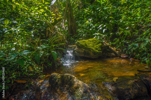 waterfall in the forest