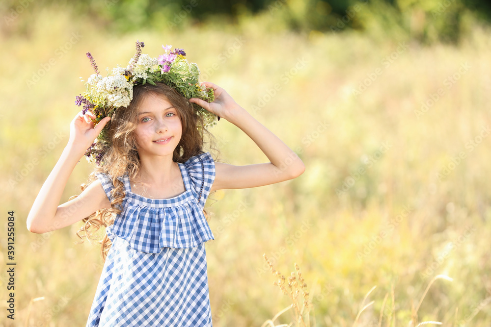Cute little girl wearing wreath made of beautiful flowers in field on sunny day Cute little girl wearing wreath made of beautiful flowers in field on sunny day
