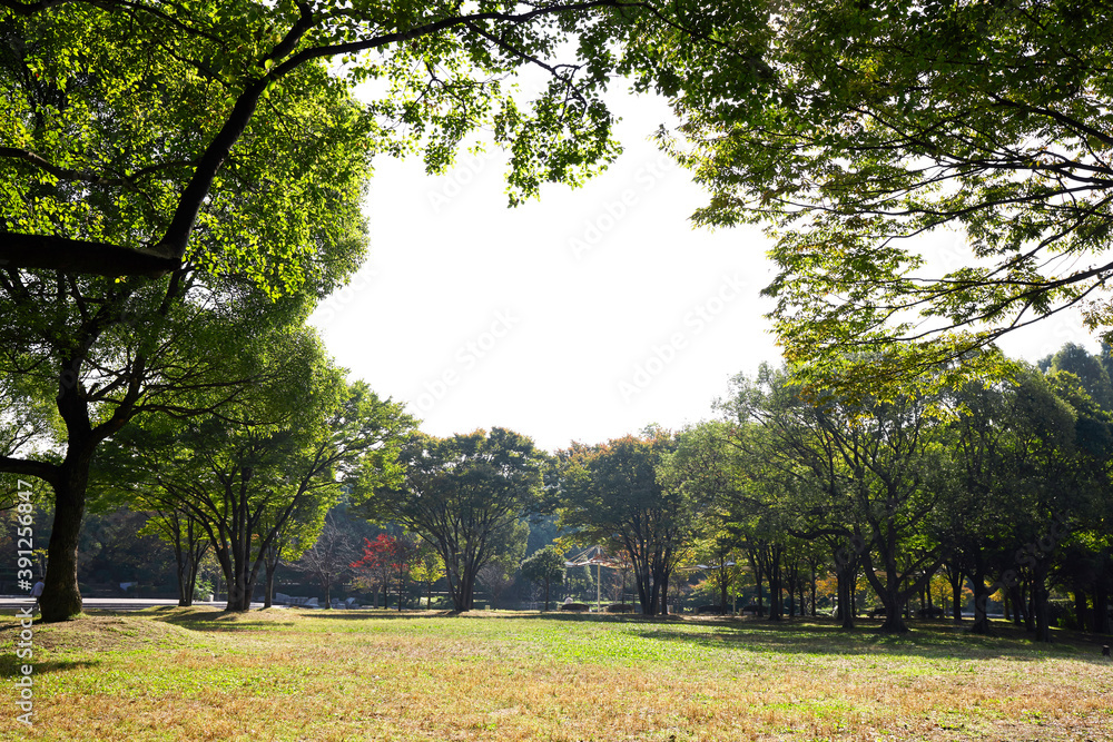 Naklejka premium 鶴見緑地公園