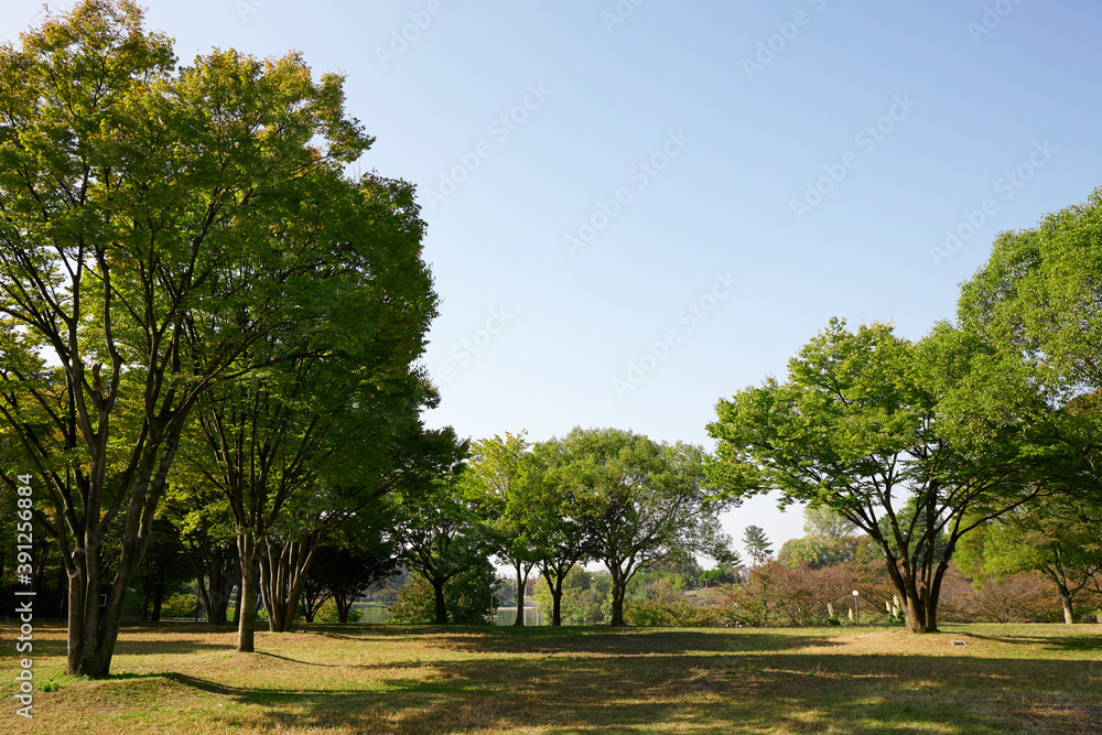 鶴見緑地公園