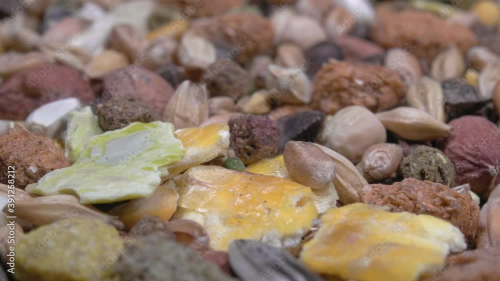 Close-up food for rodents. Food for hamsters. Close-up food for rodents. Food for hamsters.