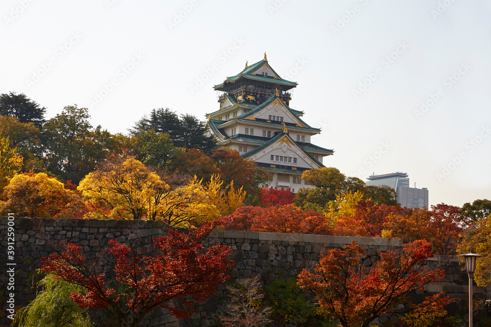 Fototapeta 秋の大阪城