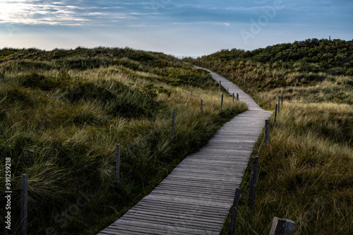 Konstfotografi Dünenweg im Abendgrauen