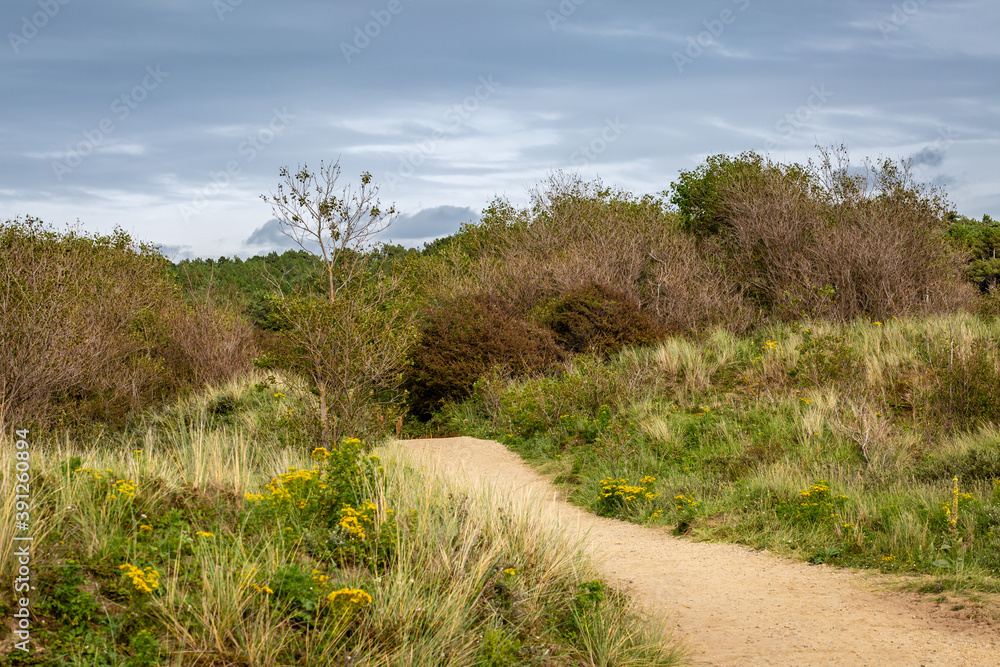 A Rural View, at Formby in Merseyside A Rural View, at Formby in Merseyside