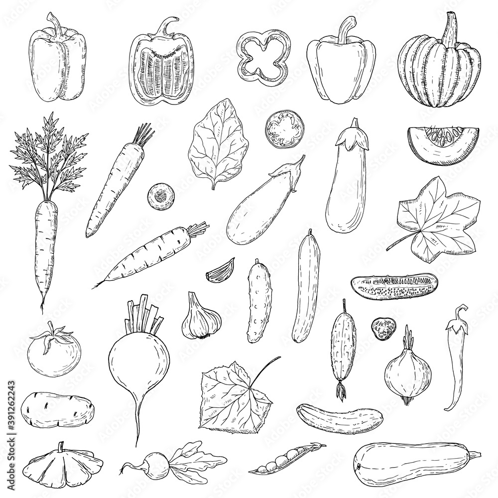 Vegetables set. Vector cartoon illustrations of veggies. Isolated on white.