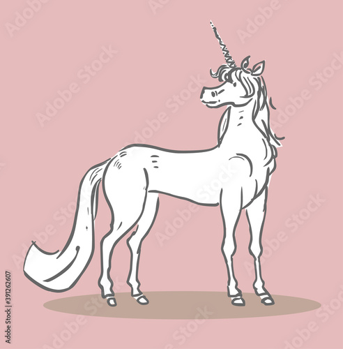 Unicorn illustration. Mythical horned white horse