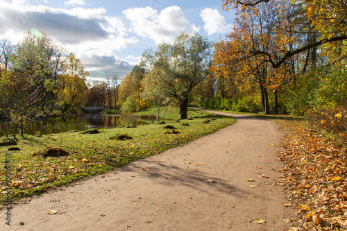 Fototapeta Naklejka Na Ścianę i Meble -  road through the autumn Park on a Sunny day