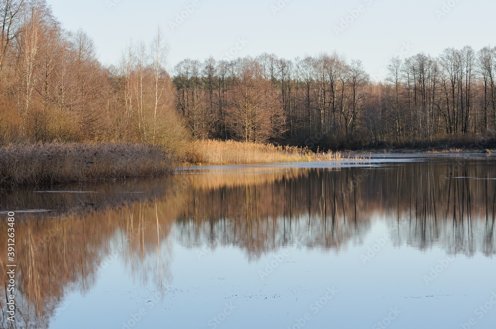 Sunlight and shade on the grass and trees on the shore of a forest lake. Moscow region. Russia. Sunlight and shade on the grass and trees on the shore of a forest lake. Moscow region. Russia.