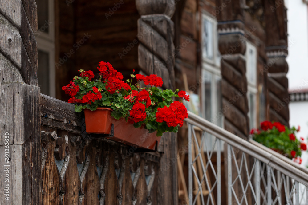 The facade of the authentic wooden house is decorated with carved columns and railings. Old wooden house facade. Blooming red geraniums on the railing of an old wooden house.
