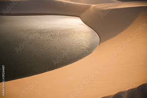 dunes and oasis