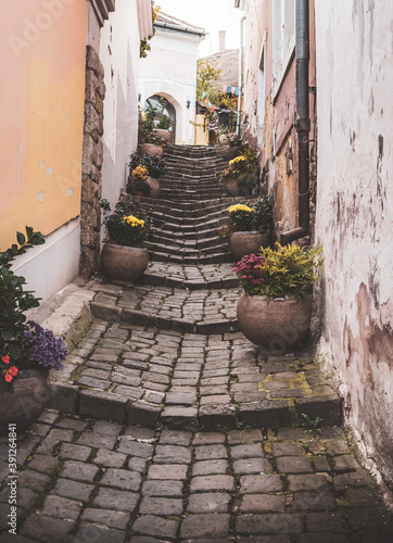 Old narrow street with stairs and flowers