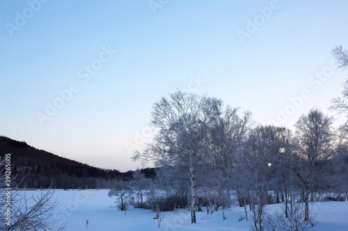 早朝の冬の白樺湖 © Paylessimages