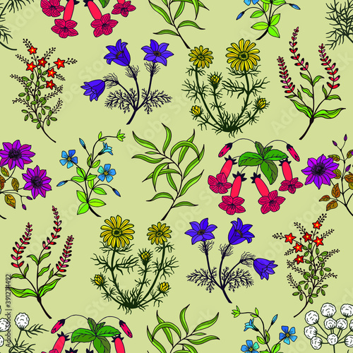 Fototapeta Naklejka Na Ścianę i Meble -  botanical seamless pattern of plants and flowers for fabric, paper. Vector stock illustration eps10. 