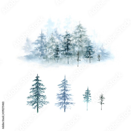 set of christmas trees and watercolor christmas illustration winter forest  hand painted nature winter holidays on white background close up