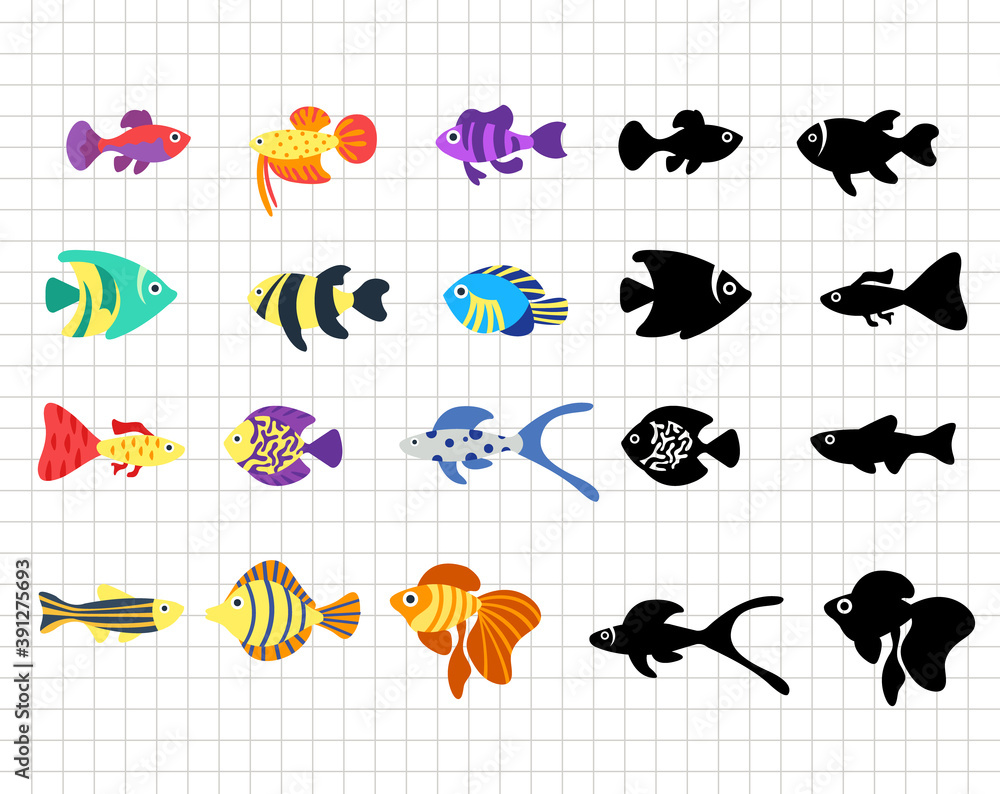 Fototapeta premium Aquarium fish isolated on the transparent background. Sea animal. Black silhouettes. Vector Flat illustration. Suitable for cutting software. Cricut, Silhouette