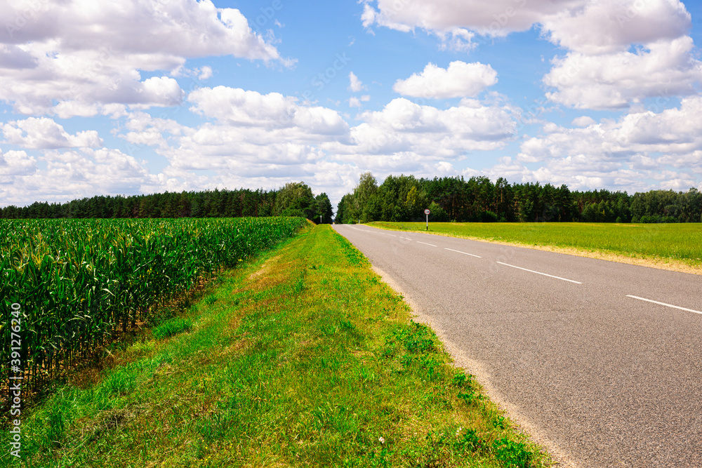 landscape with road going into perspective, green fields and blue sky with cumulus clouds