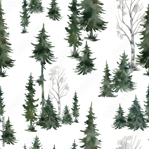 Watercolor seamless pattern with winter trees. Spruce  birch  pine  Christmas tree. Nature background. Forest landscape.