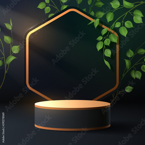 Black and gold podium with green branch decoration