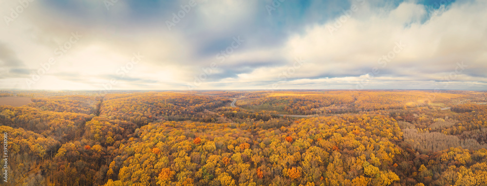 Aerial view of Beautiful orange and red autumn forest, many Colorful trees with red and orange foliage in fall on the yellow hills near Poltava, Ukraine.