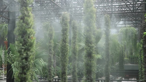 The sprinkler works to spray the water in order to water the plants. photo