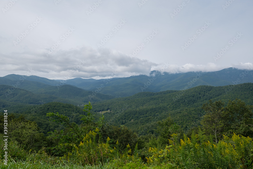 Obraz premium Big Laural Gap Overlook mountain view landscape on Blue Ridge Parkway