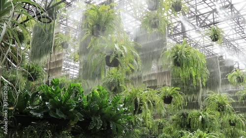 The sky garden opens the sprinklers to water the plants. photo