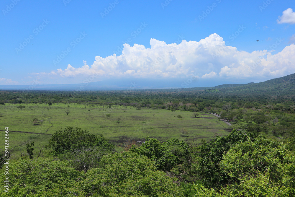 Obraz premium View of the vast savanna meadows. 