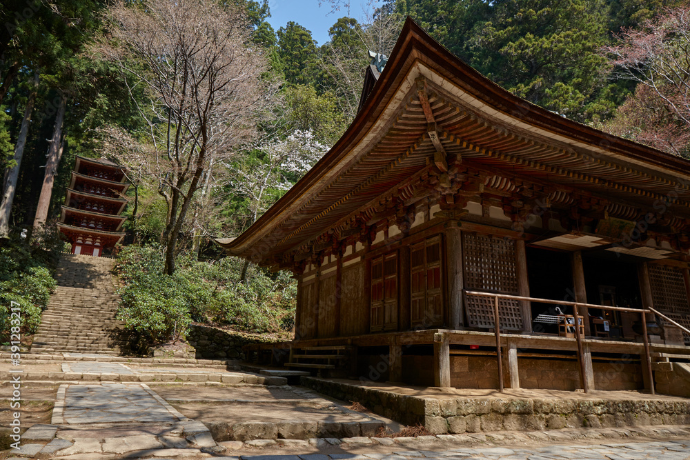 室生寺,本堂と五重塔