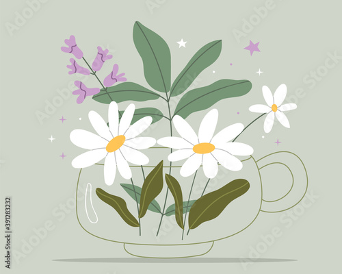 Herbal tea with chamomile and thyme.Natural herbs medicine.  Vector design with herbal tea ingredients.Simple illustration.
Cute Poster.