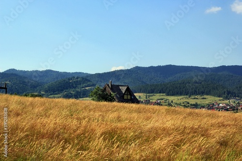 landscape with a house