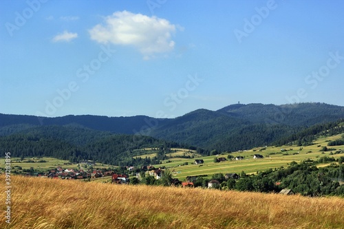 landscape with vineyard and mountains