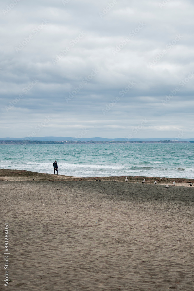 A person walking alone on an empty beach. Winter autumn season, cold weather. Cloudy weather. Birds on the sand.