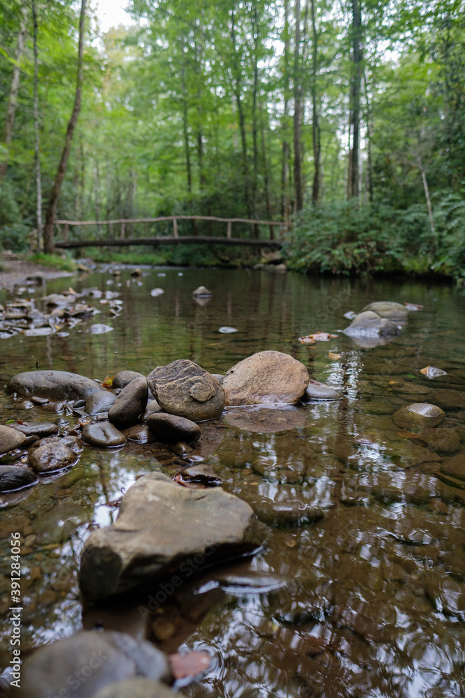 Low angle of a creek in the woods with a bridge in the distant background Low angle of a creek in the woods with a bridge in the distant background