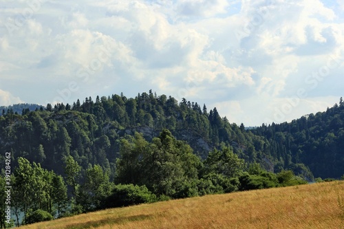 landscape in the mountains